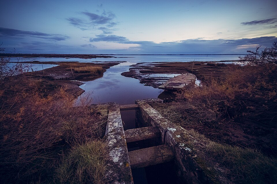 The Certes-Graveyron Estate at sunset